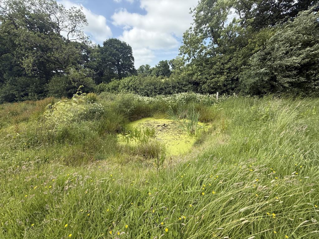 Lot: 69 - 3.24 ACRES OF LAND WITH PLANNING FOR AGRICULTURAL BUILDING - WORKS COMMENCED - General view of Land showing pond